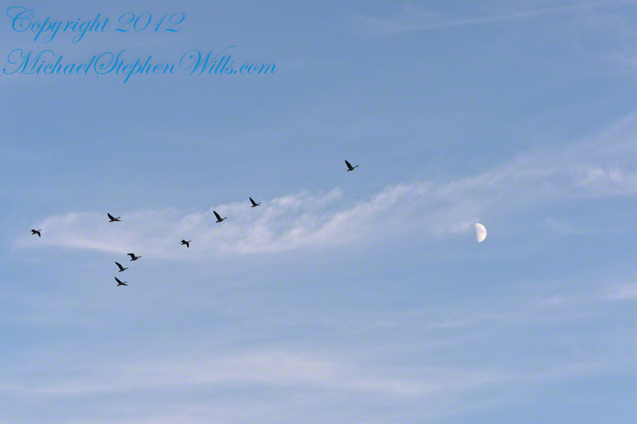 West view from Libe Slope