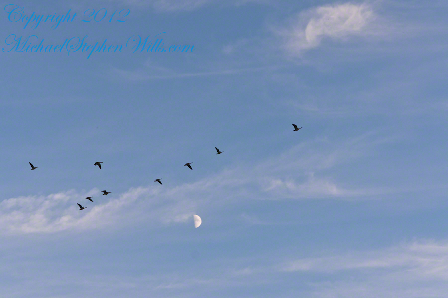 West view from Libe Slope