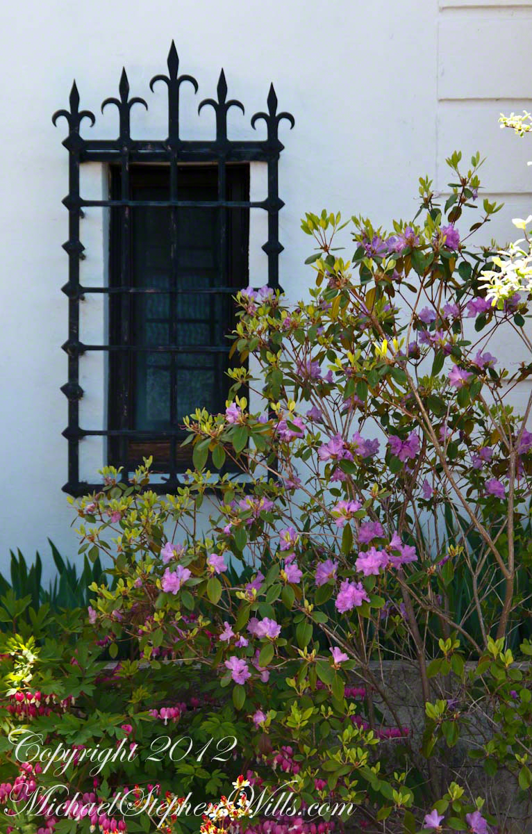 Ornate Grating and Flowers