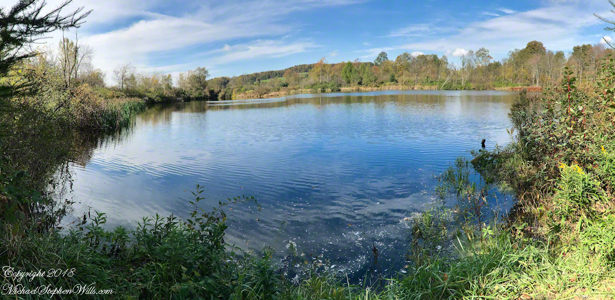 WillsSamuelJackBenchsitting20181014-3