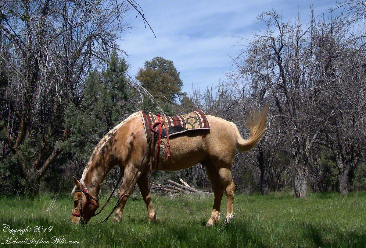 A Ride to Reavis Ranch – Michael Stephen Wills Photography