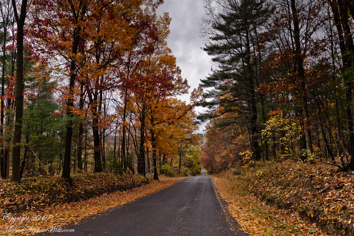 Bostwick Road, October