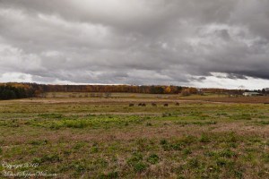 Autumn Fields, Finger Lakes