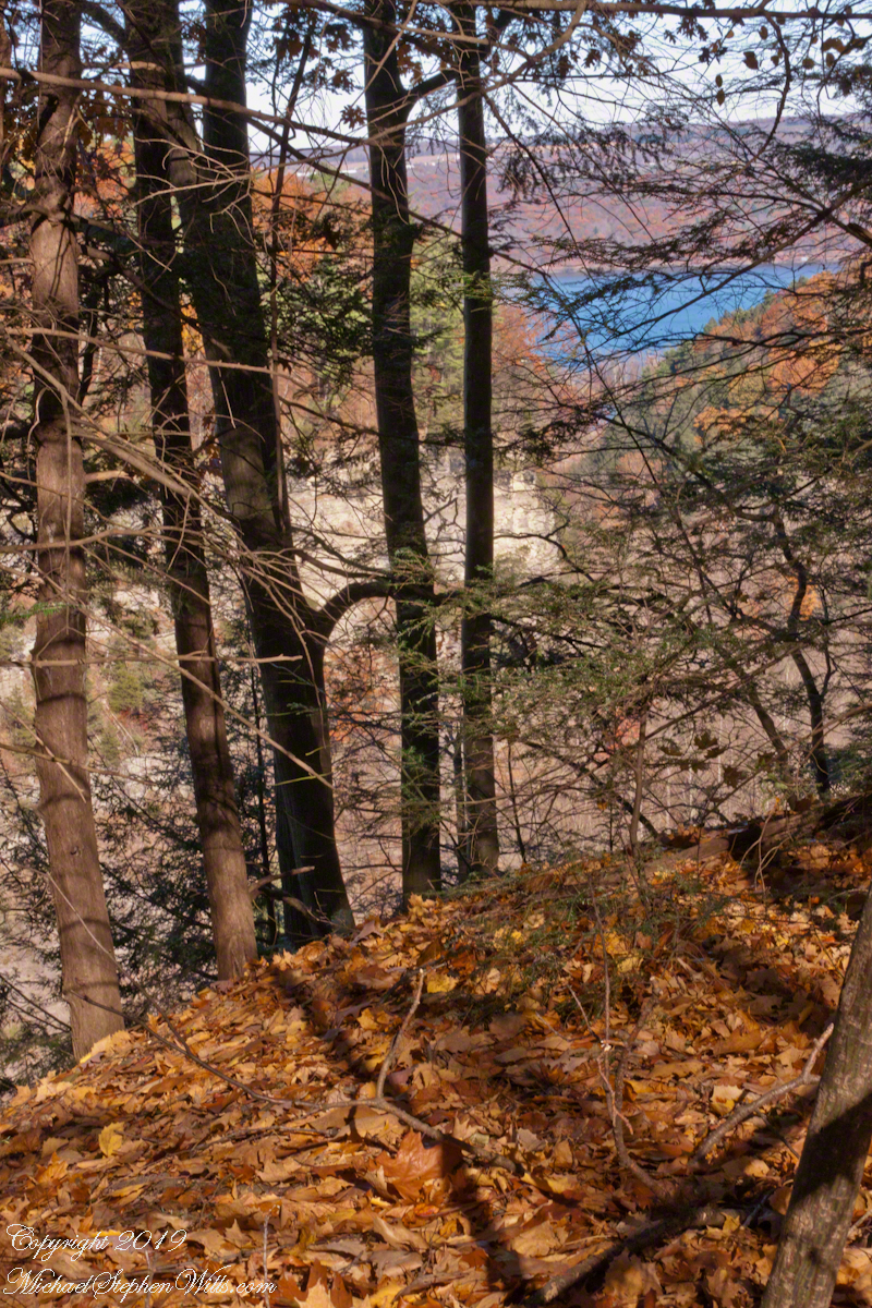 Gorge View with Oak Leaves