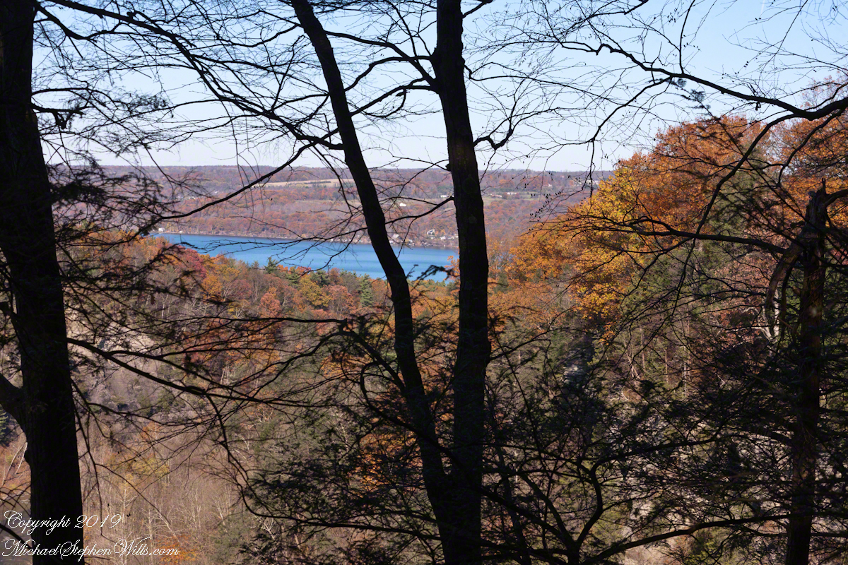 Cayuga Lake Bench View