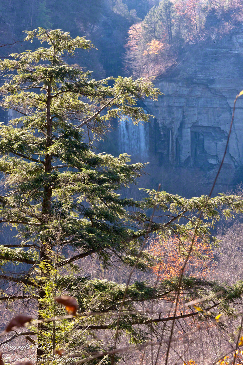 Distant View with Hemlock