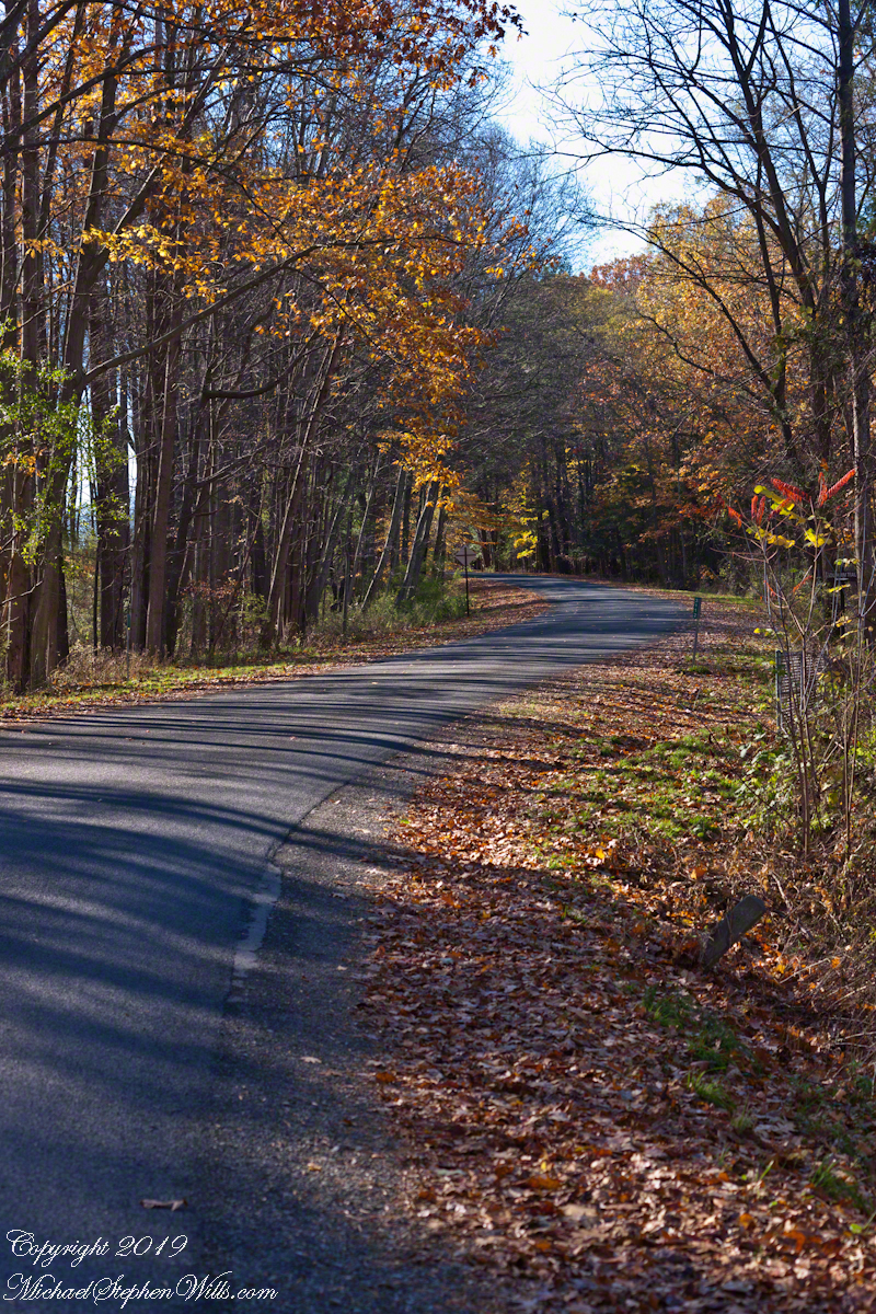 Gorge Road, early November