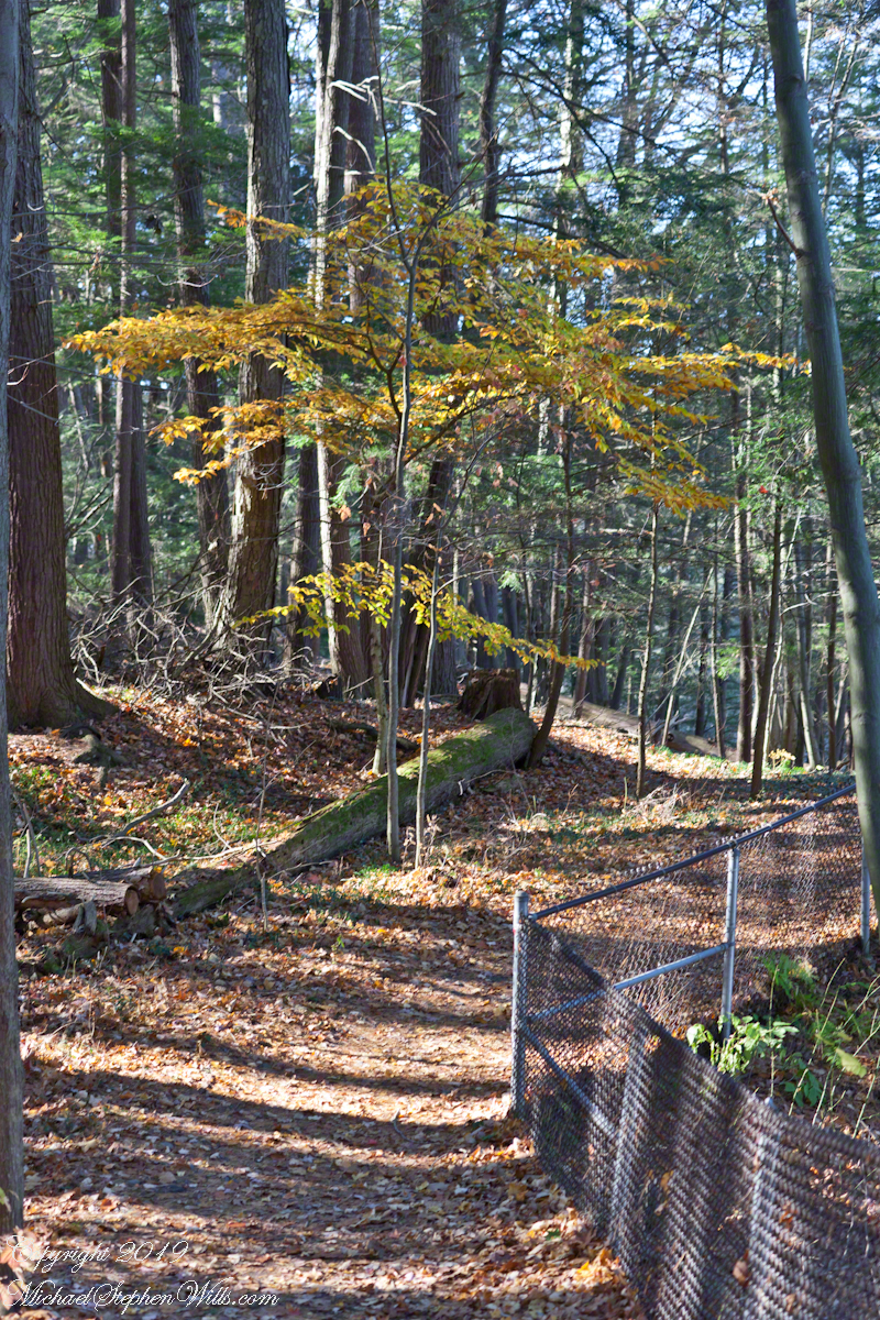 South Rim Trail, early November