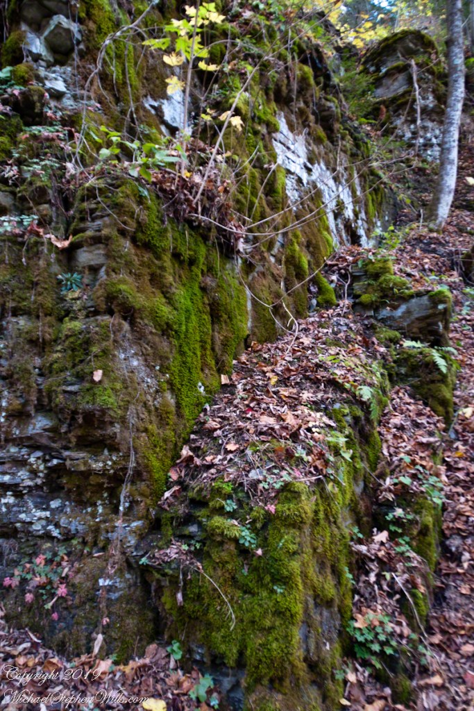 Cliff Stair Wall, autumn Moss