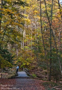 Woman on Footbridge, Contemplation