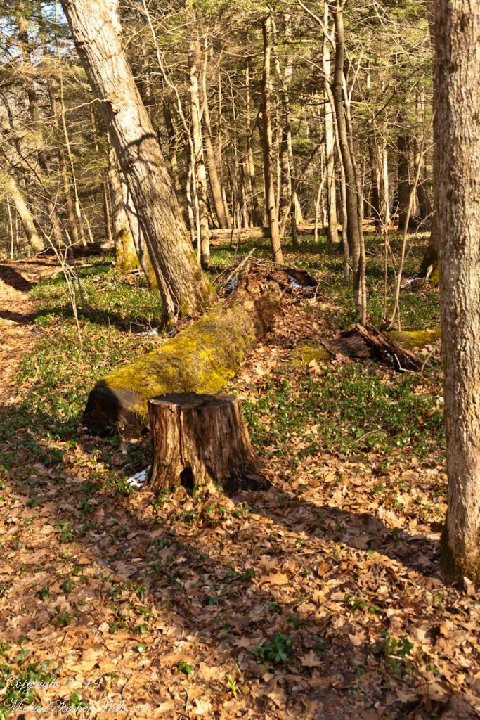 Beneath the Cliff Stairs II