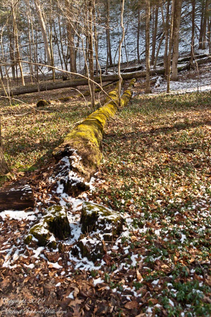Beneath the Cliff Stairs I