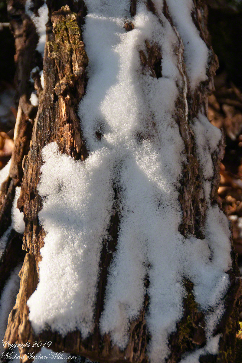 Late April Snow dusted with light