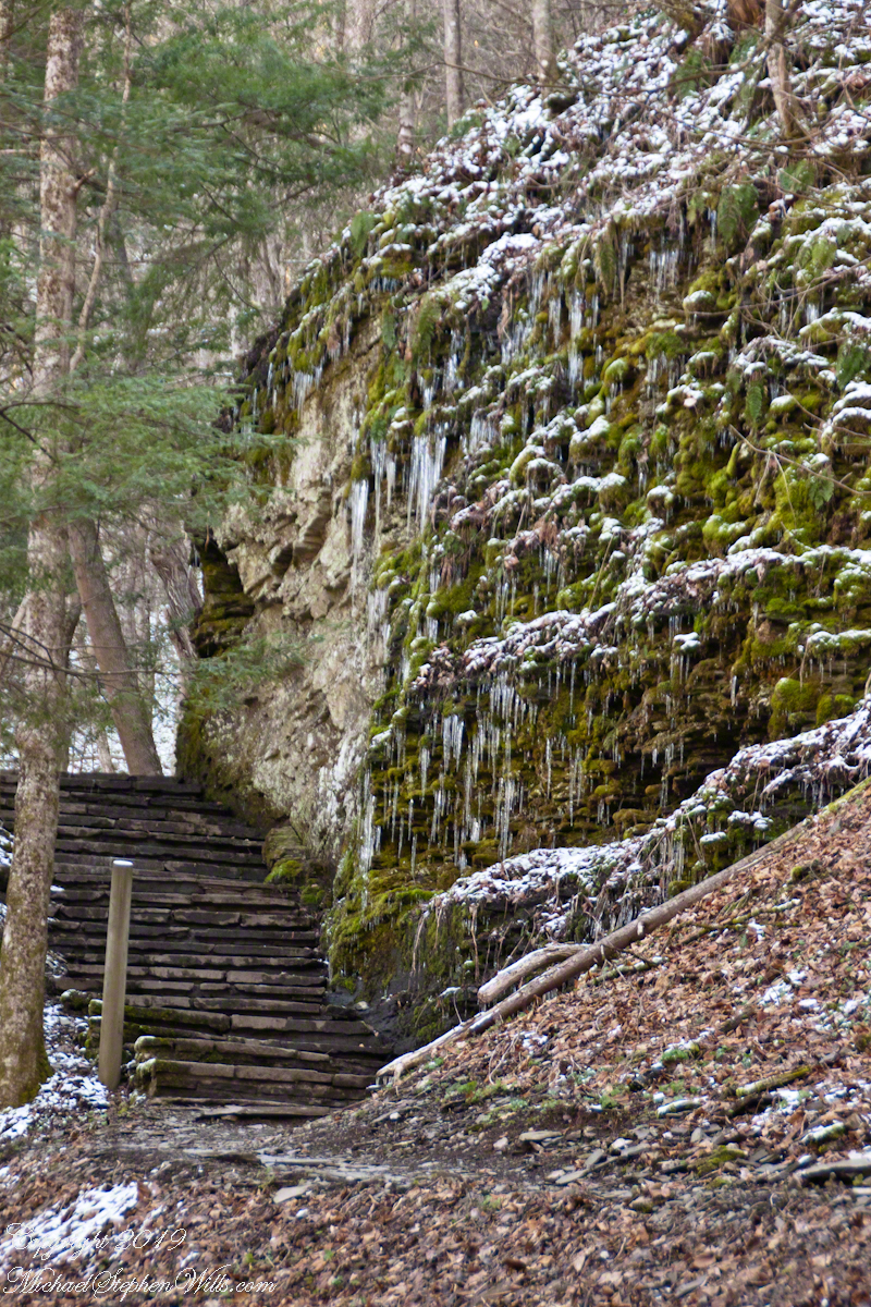 So Like a Christmas Tree