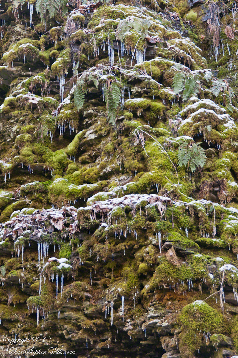 Sudden Frost April, Cliff Stairs
