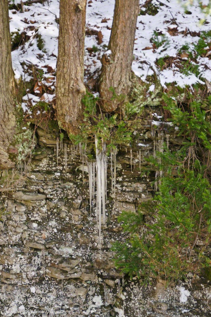 Icicles hang over Fish Kill