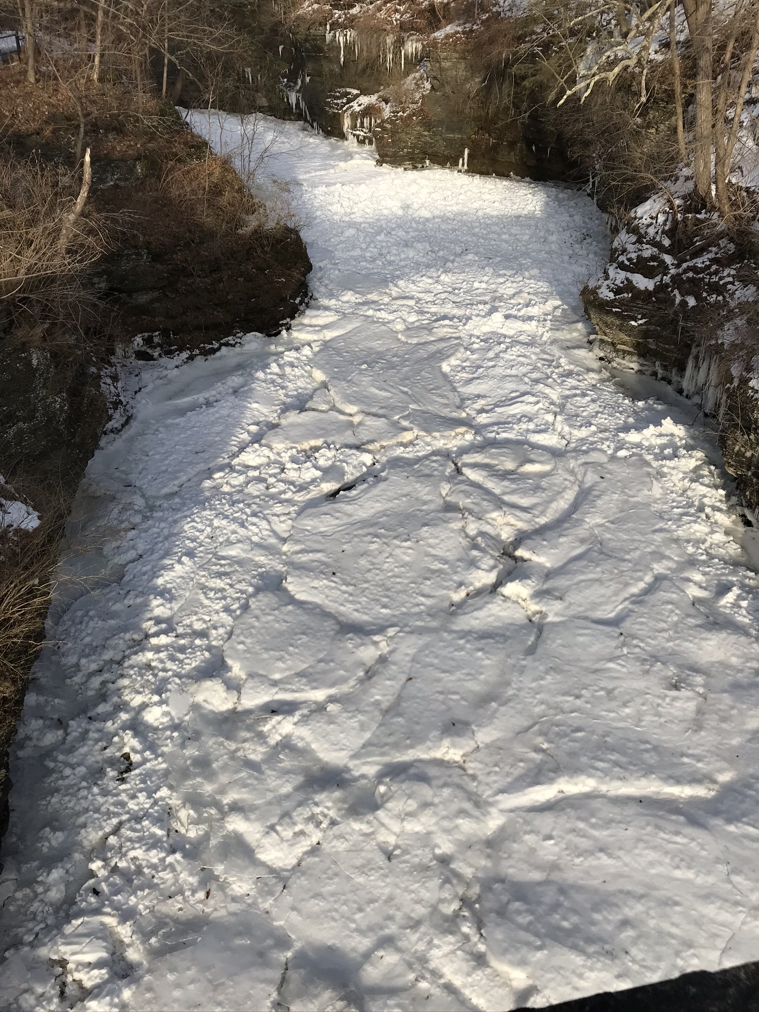 Fall Creek View Winter upstream