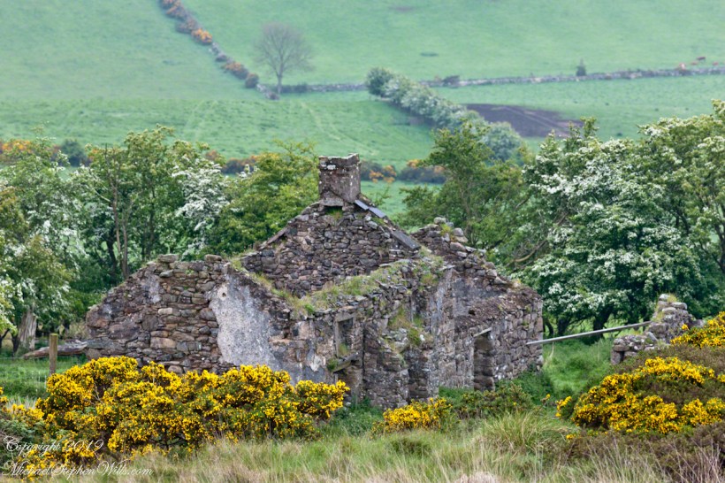 Farmhouse ruin, Slievenaglogh Townland II