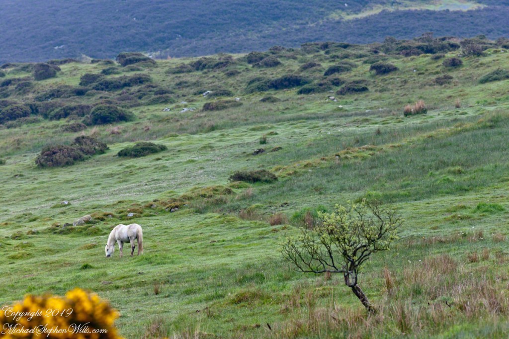 On the slopes of  Slievenaglogh
