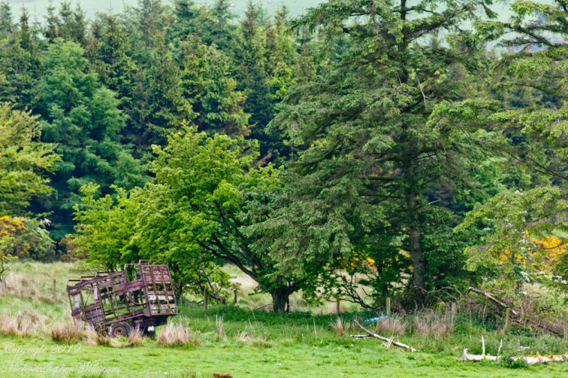 Abandoned Hay Wagon
