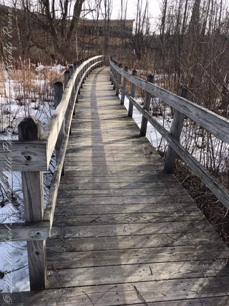 Autumn Stroll in Sapsucker Woods