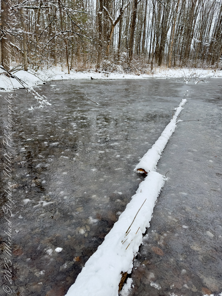 Autumn Stroll in Sapsucker Woods