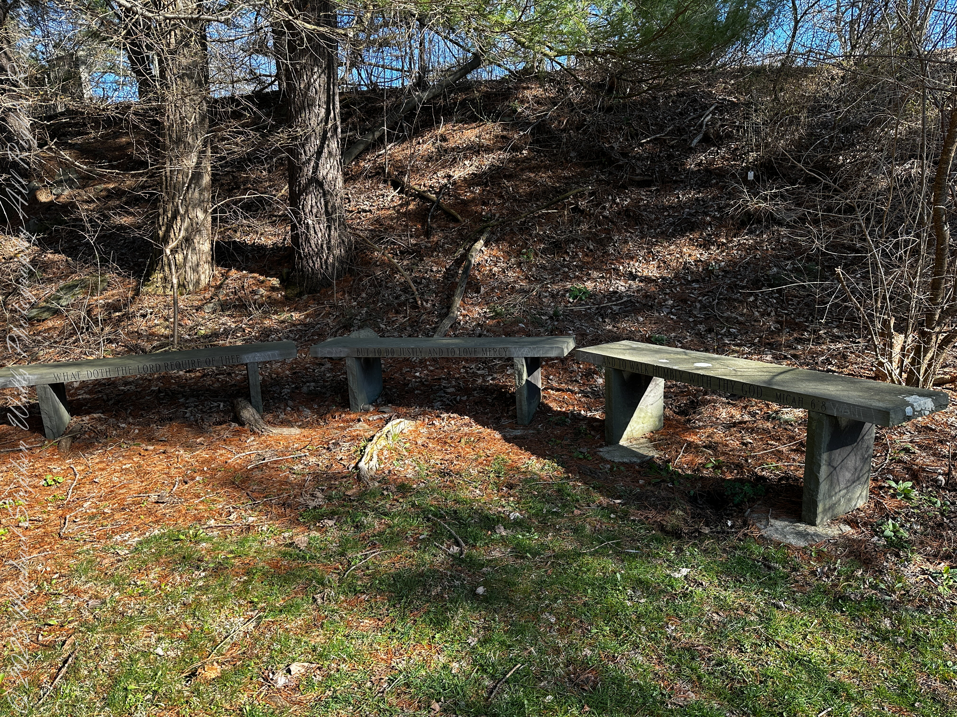 Autumn Stroll in Sapsucker Woods