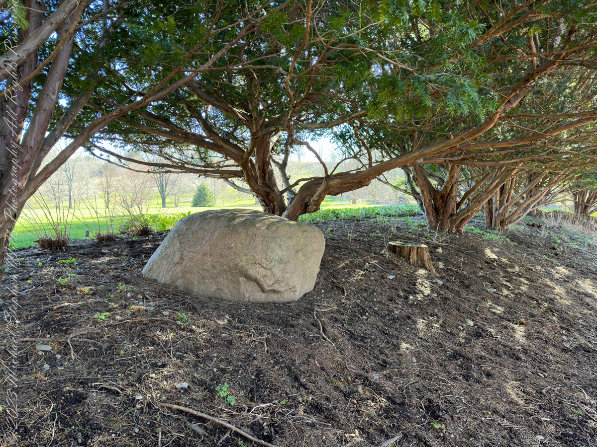 Autumn Stroll in Sapsucker Woods